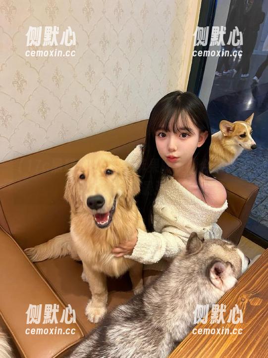 17c黑料苹果版资源合集，动漫游戏玩家最强助手