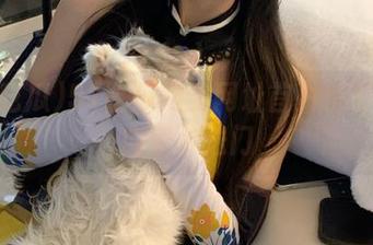 51吃瓜网站网址首页精彩吃瓜内容传送门
