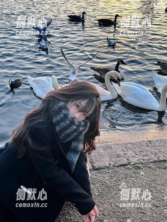 51吃瓜app下载今日更新，快速登录享受无限吃瓜乐趣
