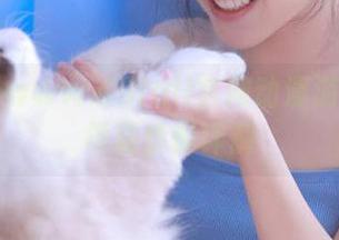 www.69fuli官网动漫游戏福利领取步骤详解