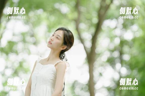 黑料老司机苹果版登录步骤，轻松追踪精彩黑料